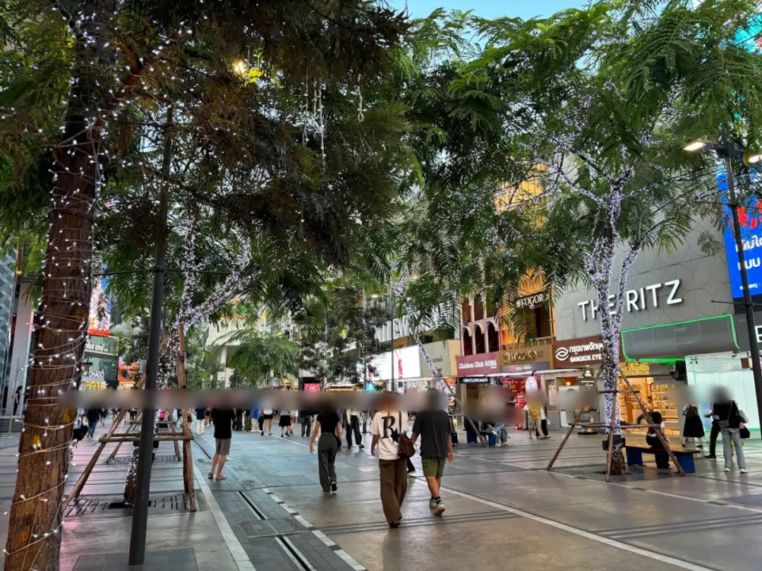 海外调研 | 泰国槟榔市场进入机会与本地化调研