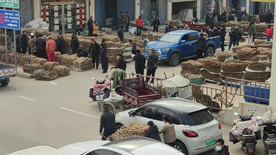 2026年3月25日渭源中药材市场快讯