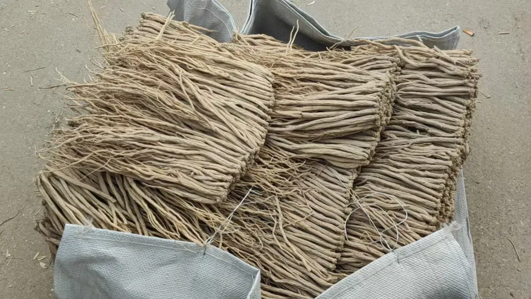 2026年3月25日渭源中药材市场快讯