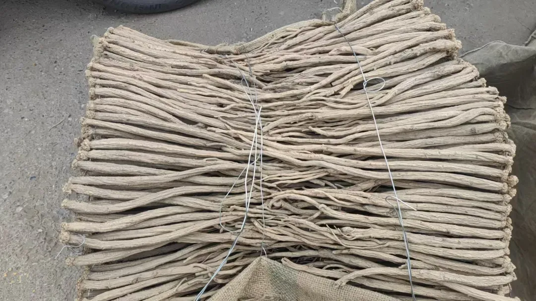 2026年3月25日渭源中药材市场快讯