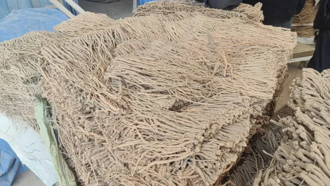 2026年3月25日渭源中药材市场快讯