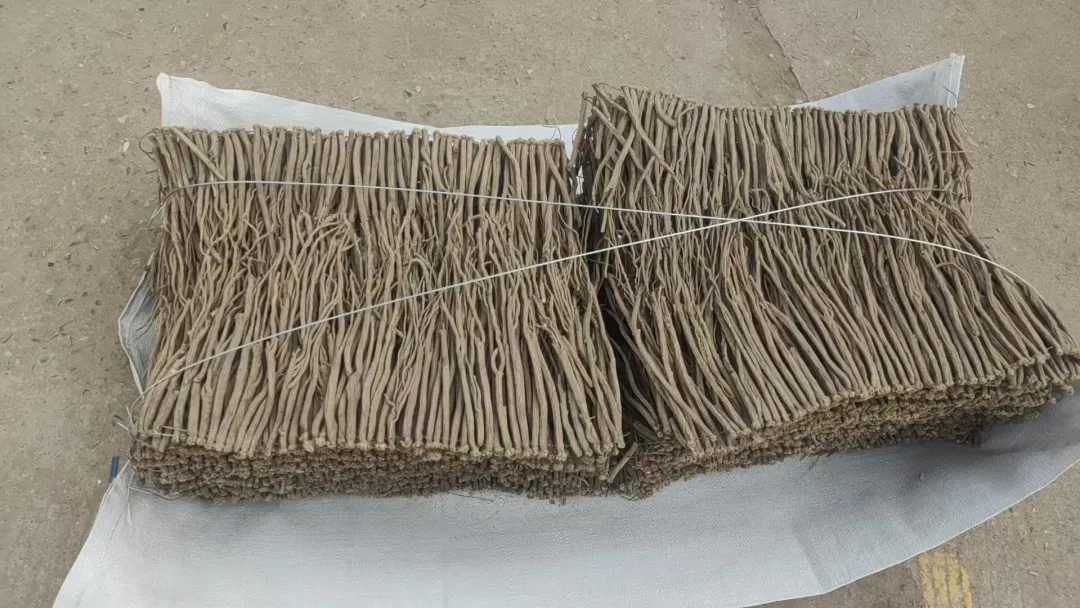 2026年3月25日渭源中药材市场快讯