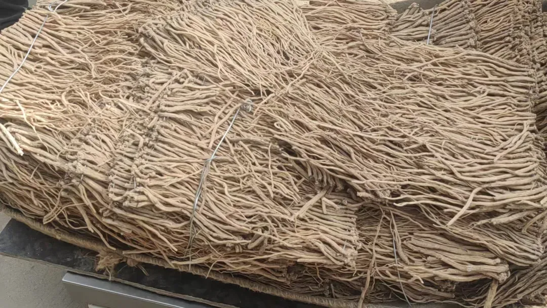 2026年3月25日渭源中药材市场快讯