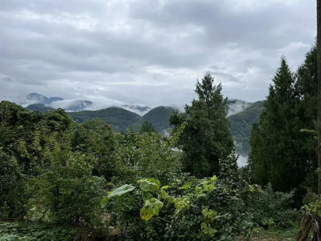 如何破局中国劳务市场的恶性循环