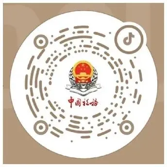 发票:国家、市场和个人的经济纽带