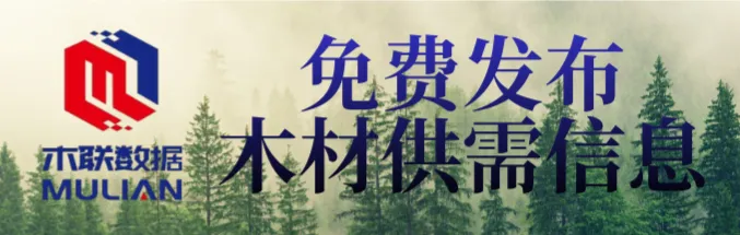 燃油与海运成本飙升,中国市场需求成关键变量