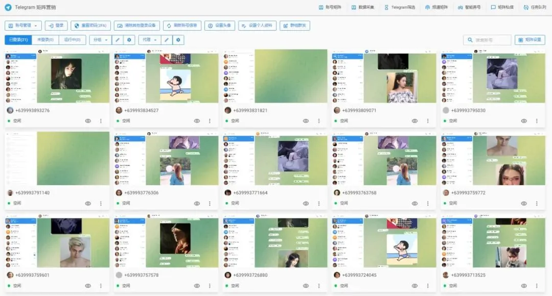 Telegram获客软件:深挖香港本地精准客群,打造稳定私域流量池