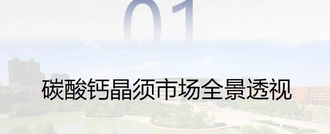 碳酸钙晶须的市场前景及在造纸上的应用研究