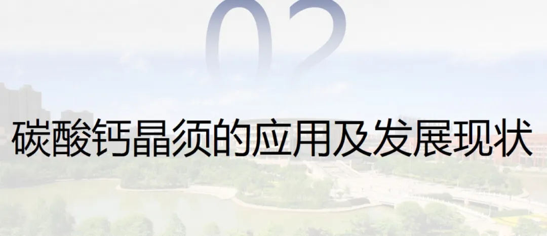 碳酸钙晶须的市场前景及在造纸上的应用研究
