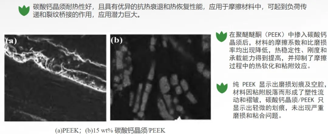 碳酸钙晶须的市场前景及在造纸上的应用研究