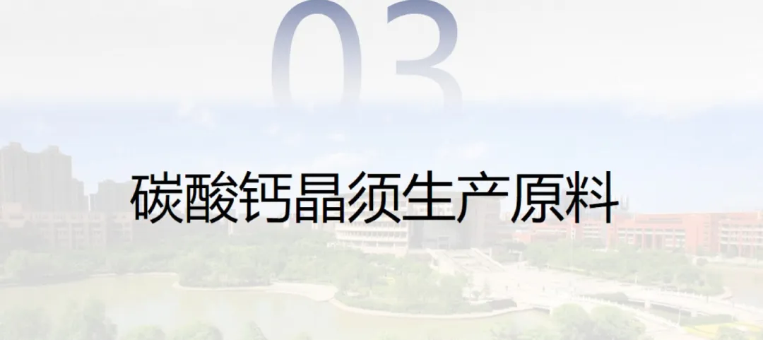 碳酸钙晶须的市场前景及在造纸上的应用研究