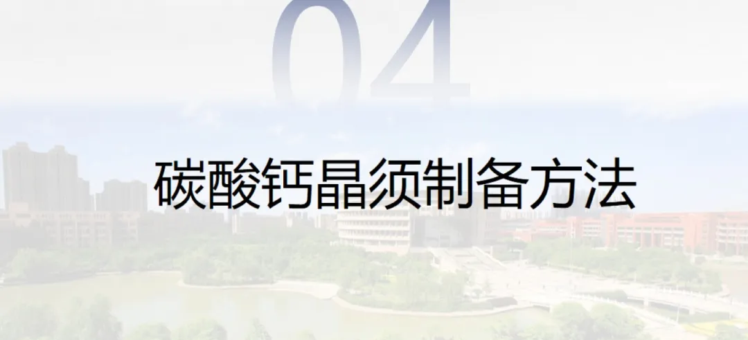 碳酸钙晶须的市场前景及在造纸上的应用研究