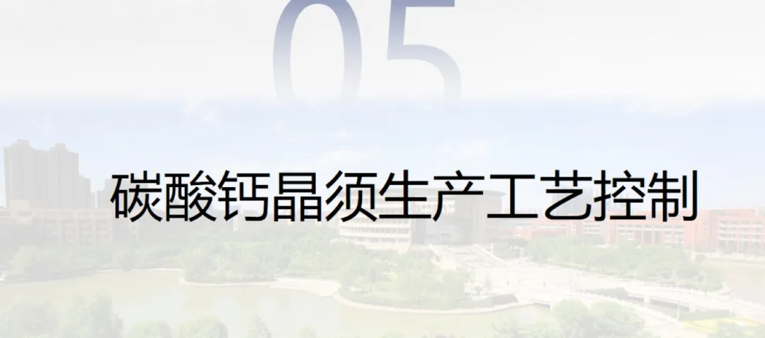 碳酸钙晶须的市场前景及在造纸上的应用研究