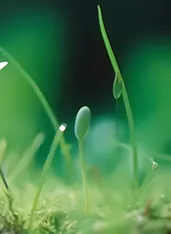 2026流量红利消退,企业营销如何破局