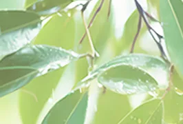 2026流量红利消退,企业营销如何破局