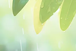 2026流量红利消退,企业营销如何破局