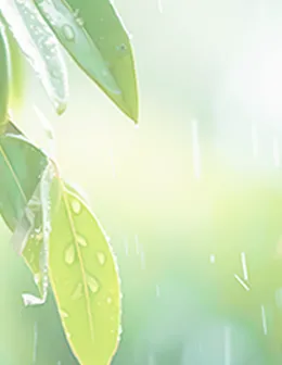 2026流量红利消退,企业营销如何破局