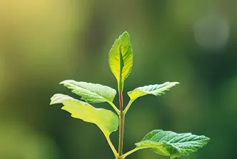 2026流量红利消退,企业营销如何破局