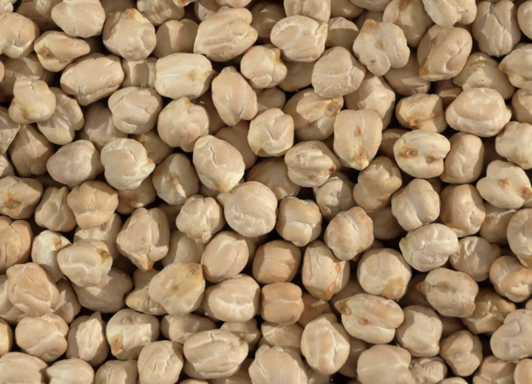 植物蛋白市场正在改变营销逻辑