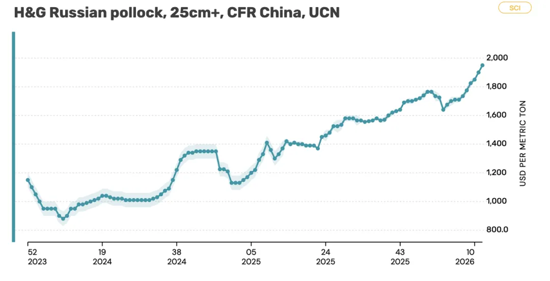 市场分析 | 二次冷冻狭鳕价格大涨,中国工厂报价触发市场“多米诺骨牌”效应