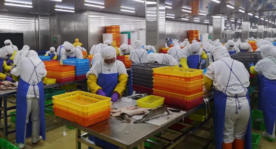 市场分析 | 二次冷冻狭鳕价格大涨,中国工厂报价触发市场“多米诺骨牌”效应