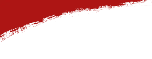 【交流合作】区市场监管局局长一行来长海路街道开展座谈交流