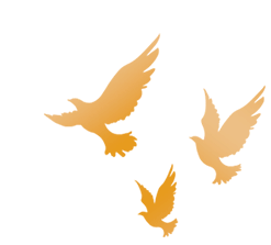 【交流合作】区市场监管局局长一行来长海路街道开展座谈交流