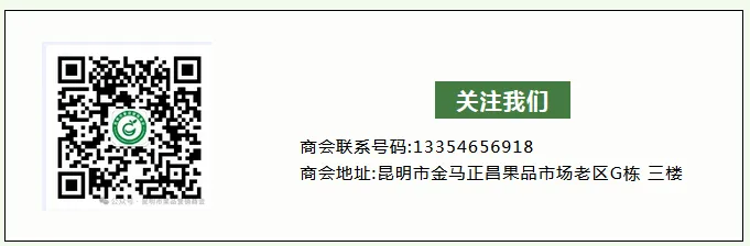 昆明市工商联到昆明市果品营销商会调研指导工作