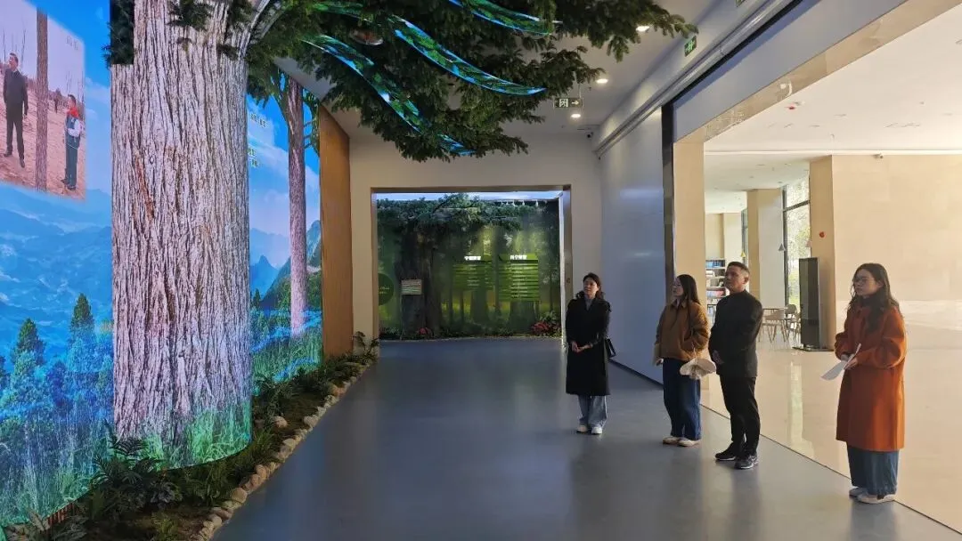 闽东乡村振兴研究院 营销入村(企)科技服务团队赴黄振芳家庭林场调研 共探“林业+”融合发展新路径