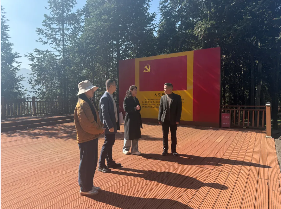 闽东乡村振兴研究院 营销入村(企)科技服务团队赴黄振芳家庭林场调研 共探“林业+”融合发展新路径