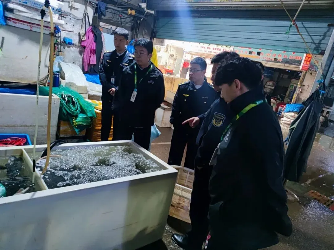 闪电行动!杭州水产市场开展活鱼麻醉剂风险隐患专项排查
