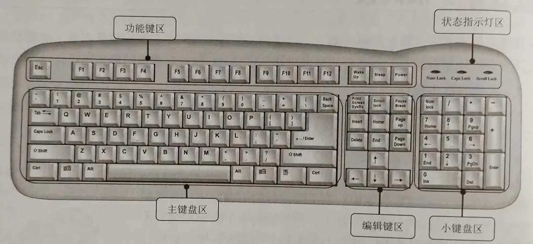 小海豚讲的计算机知识(十二)鼠标和键盘的使用方法