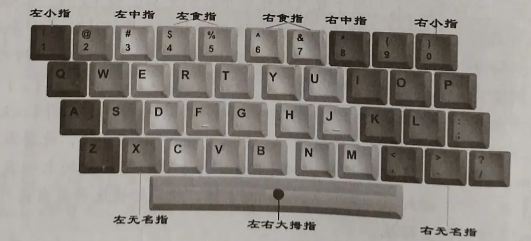 小海豚讲的计算机知识(十二)鼠标和键盘的使用方法