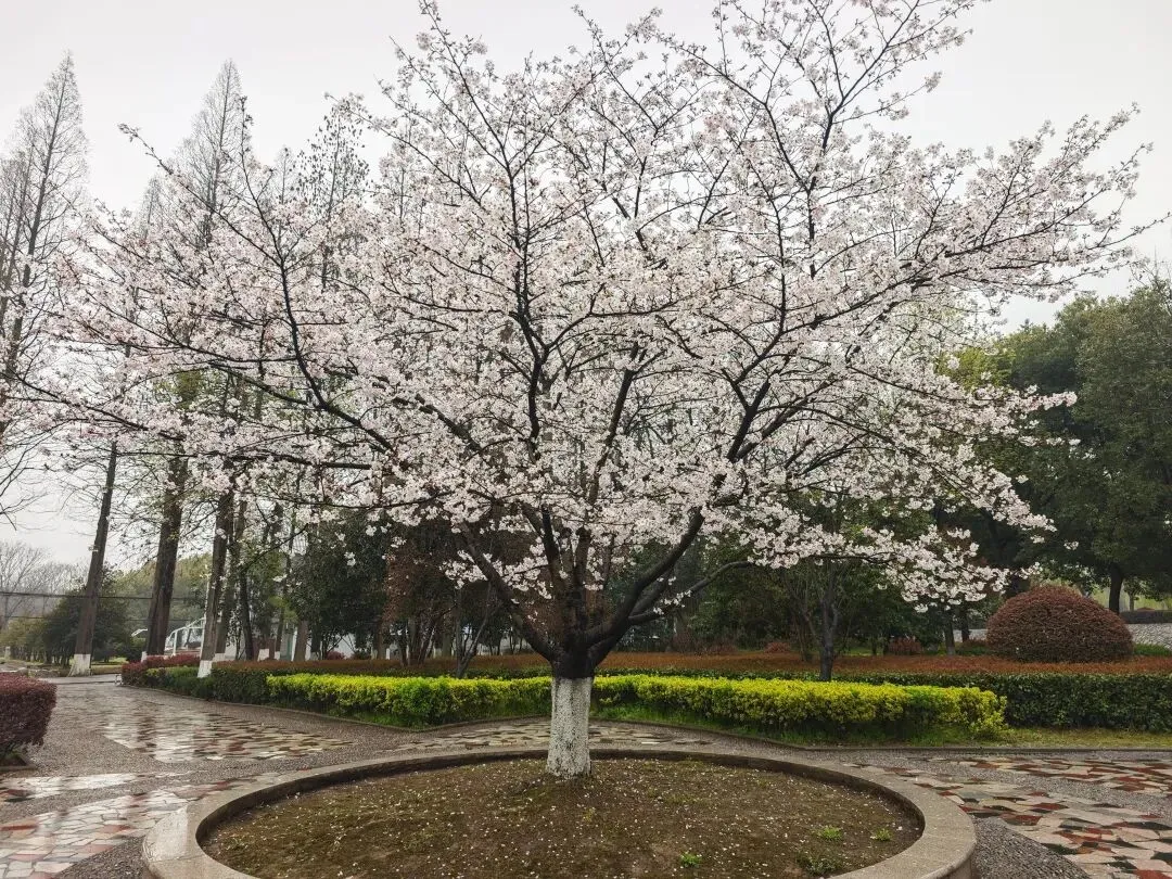 努力,这个时代最成功的营销骗局