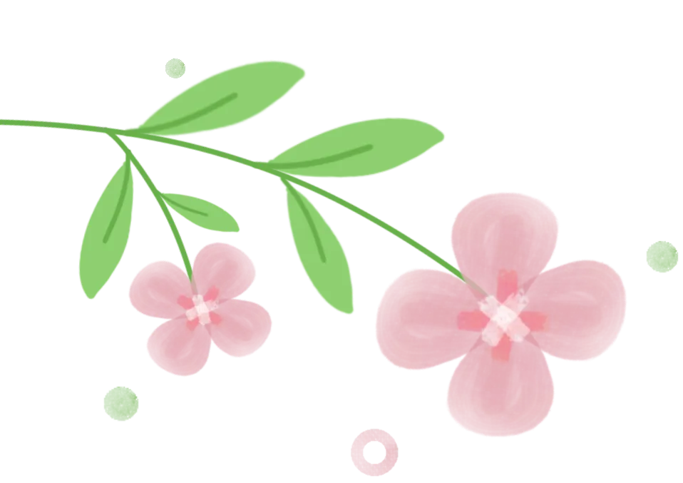 【盟市动态】包头市市场监管局全面启动2026年度医疗器械生产经营企业分类分级监管工作