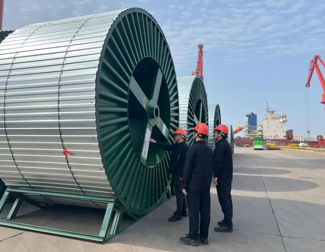 冲刺不停步!投控集团保险团队市场开拓获多个“首次”突破