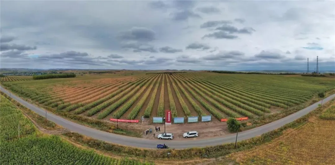 如何更好发挥市场机制作用?内蒙古六部门“同堂答题”!