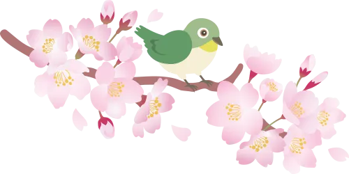 党建风采 | 计算机科学与技术专业本科生第一党支部召开三月份主题党日活动