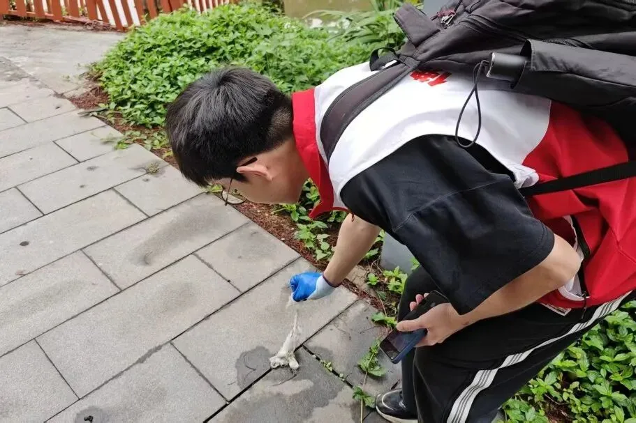 党建风采 | 计算机科学与技术专业本科生第一党支部召开三月份主题党日活动