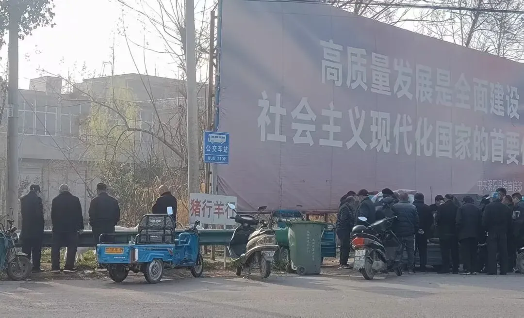 楚店镇猫狗大市场