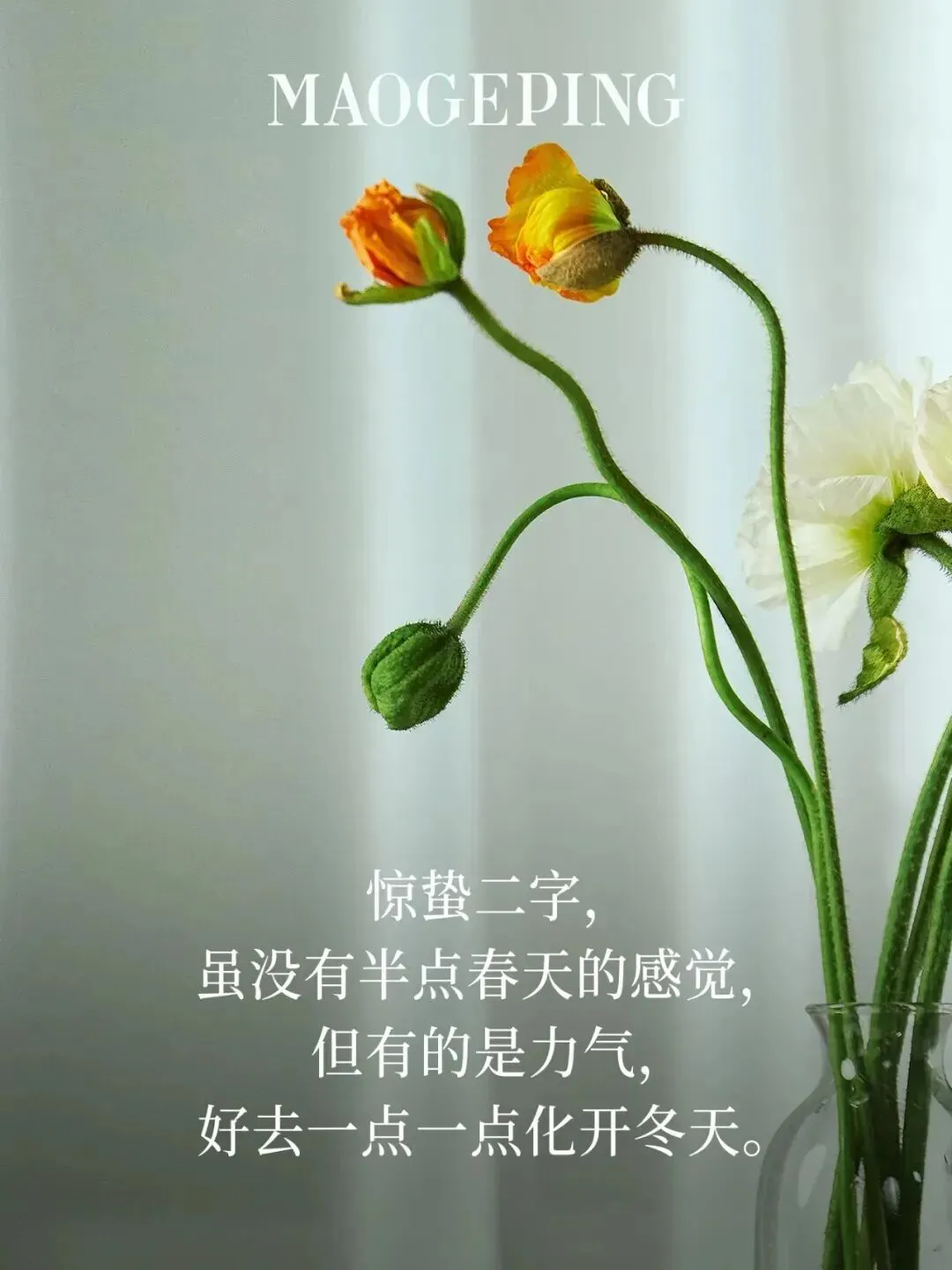 行业优秀营销案例欣赏(第二十期)