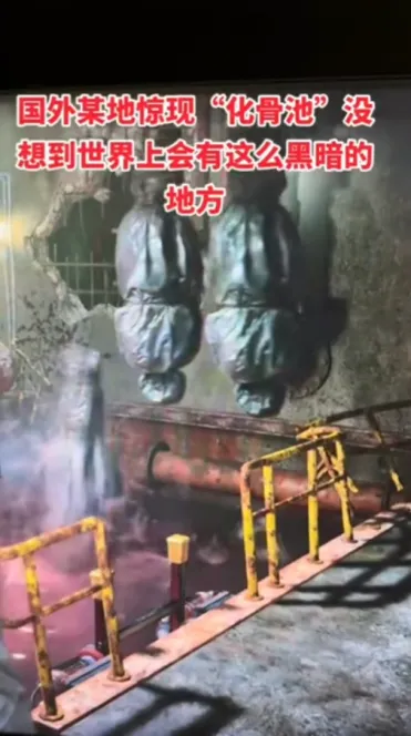 营销号冒死揭露化骨池真相,浣熊市文旅一年白干