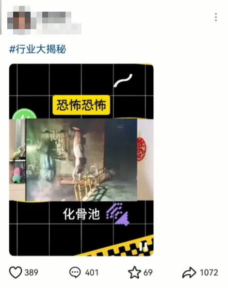 营销号冒死揭露化骨池真相,浣熊市文旅一年白干