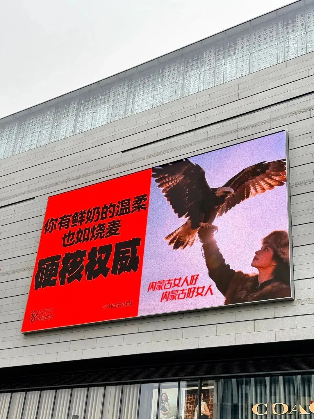 行业优秀营销案例欣赏(第二十期)