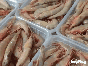 买菜新攻略!比市场还便宜?吃本港生猛海鲜人均只要30+、渔港直送到家!