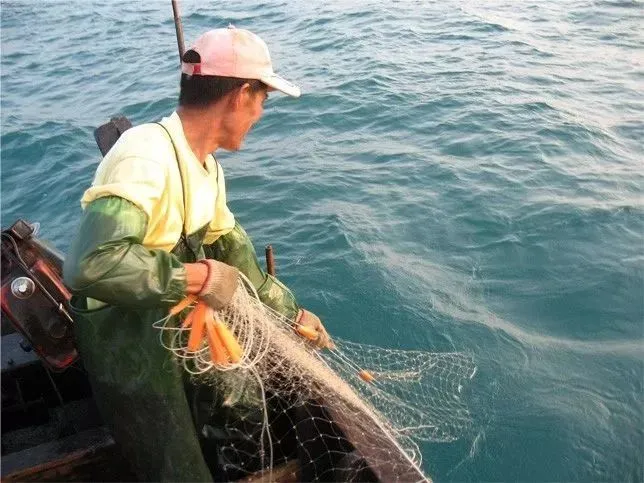 买菜新攻略!比市场还便宜?吃本港生猛海鲜人均只要30+、渔港直送到家!