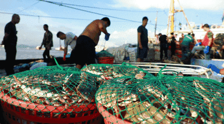 买菜新攻略!比市场还便宜?吃本港生猛海鲜人均只要30+、渔港直送到家!