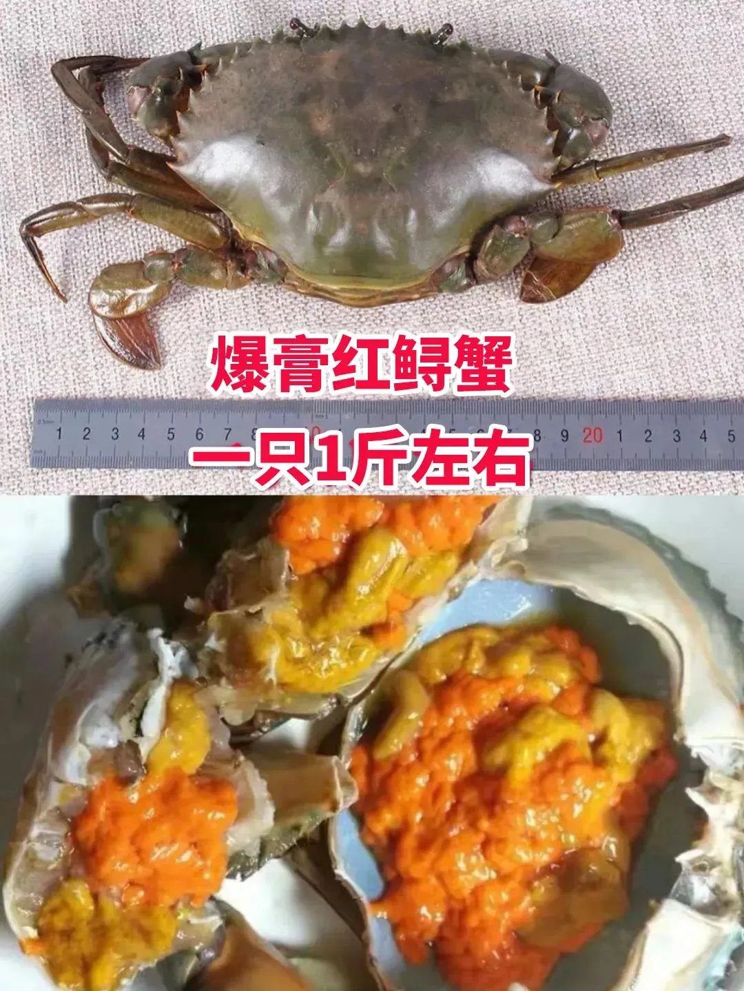 买菜新攻略!比市场还便宜?吃本港生猛海鲜人均只要30+、渔港直送到家!