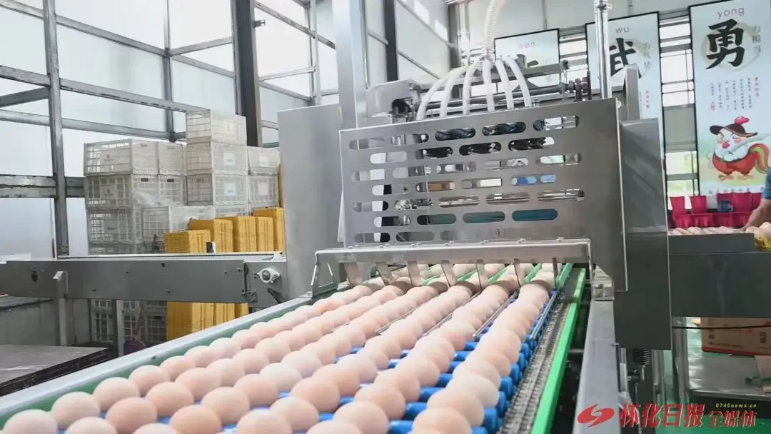 怀化农特产“抢滩”全球市场,出口增长近六成