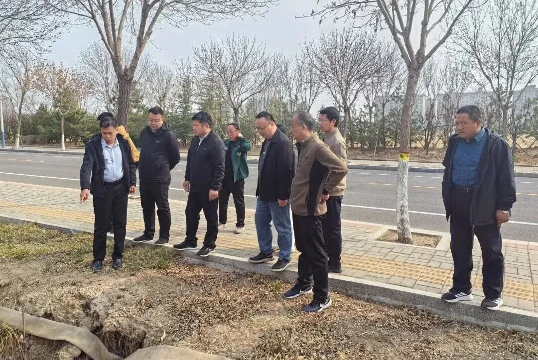 【部门动态】区市场监管和综合执法局开展2026年度第3次“品质北海”徒步巡查活动